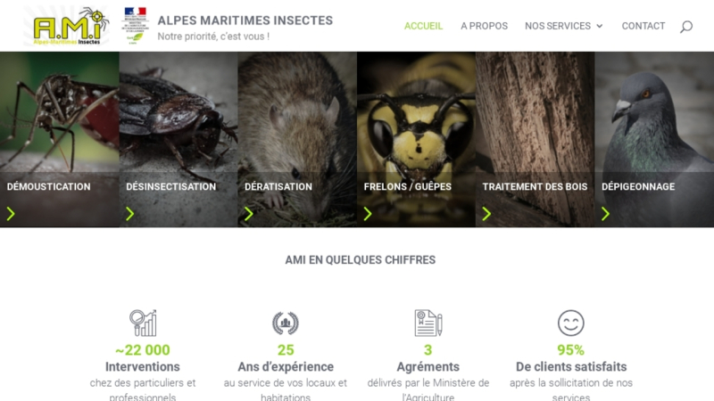 Alpes Maritimes Insectes