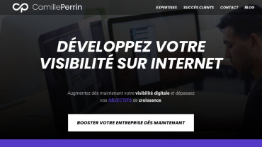 Page d'accueil du site : Camille Perrin