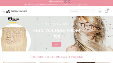 Page d'accueil du site : Expert Hair Extension