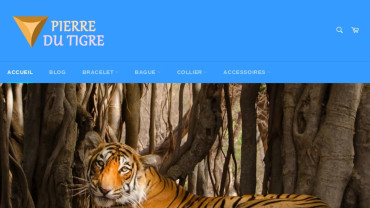 Page d'accueil du site : Pierre du Tigre