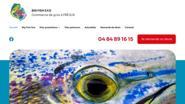 Page d'accueil du site : Big Fish Exo 