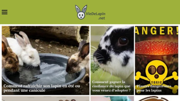 Page d'accueil du site : Vie de lapin