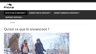 Page d'accueil du site : Snowscoot