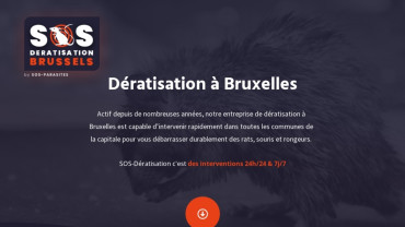 Page d'accueil du site : SOS-Dératisation