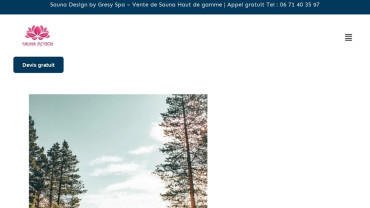 Page d'accueil du site : Sauna Design
