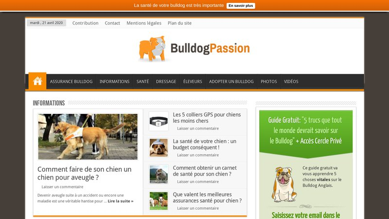 Bulldog Passion