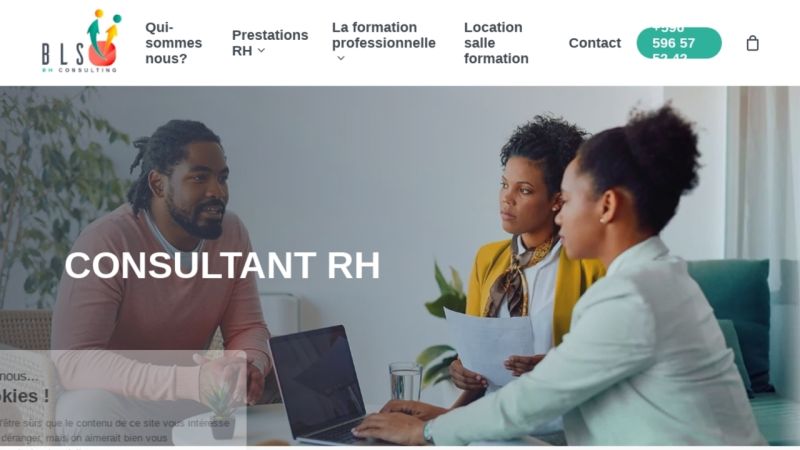 BLS RH Consulting