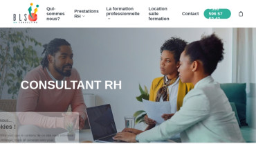 Page d'accueil du site : BLS RH Consulting