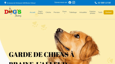 Page d'accueil du site : Dog's Factory