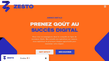 Page d'accueil du site : Agence Zesto