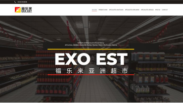 Page d'accueil du site : EXO EST
