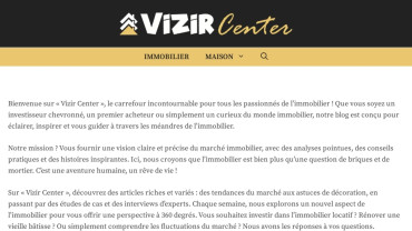 Page d'accueil du site : Vizir Center