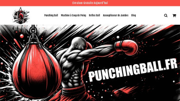 Page d'accueil du site : Punchingball