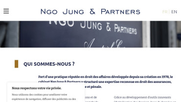Page d'accueil du site : Ngo Jung & Partners