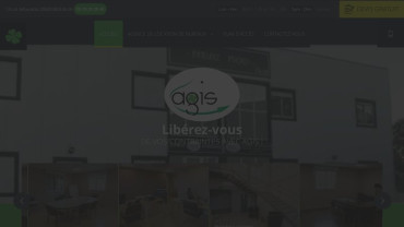 Page d'accueil du site : AGIS Centre D'affaires