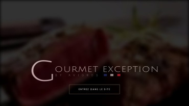 Page d'accueil du site : Gourmet Exception