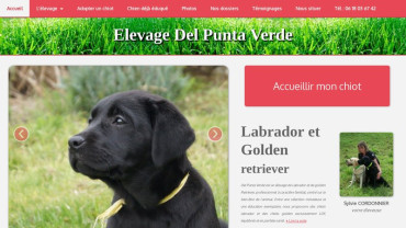 Page d'accueil du site : Del Punta Verde