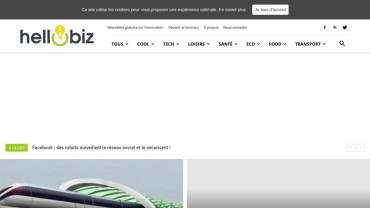 Page d'accueil du site : Hello Biz