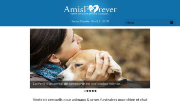 Page d'accueil du site : Amis forever