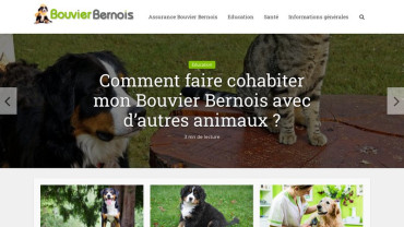 Page d'accueil du site : Bouvier-Bernois.com