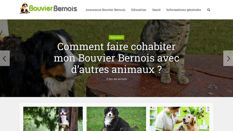 Bouvier-Bernois.com