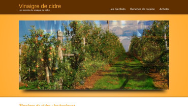 Page d'accueil du site : Le vinaigre de cidre