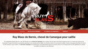 Page d'accueil du site : Ruy Blass de Bernis