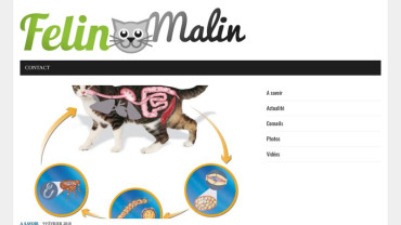 Page d'accueil du site : Félin Malin