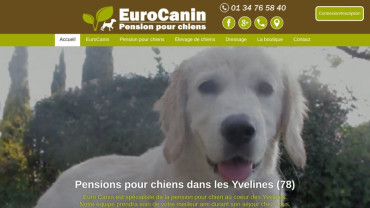 Page d'accueil du site : Pension pour chien 