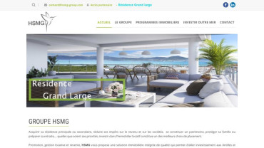 Page d'accueil du site : HSMG Group