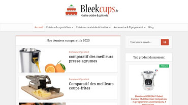 Page d'accueil du site : Bleekcup's