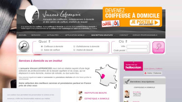 Page d'accueil du site : Vincent Lefrançois