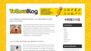 Page d'accueil du site : The Yellow Pet