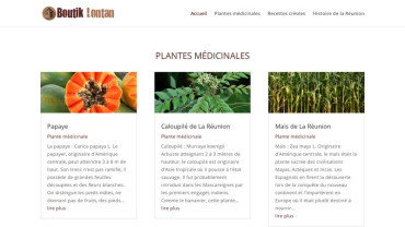 Page d'accueil du site : Boutik Lontan