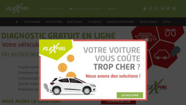 Page d'accueil du site : Flexfuel-Company