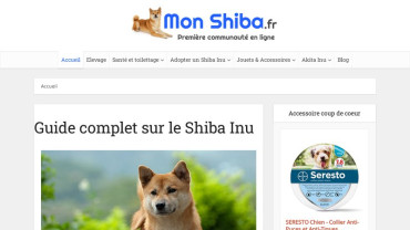 Page d'accueil du site : Shiba Inu