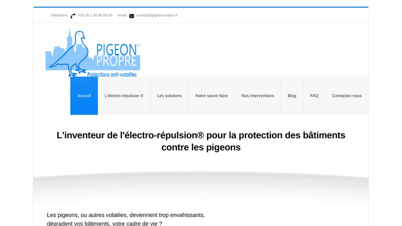 Pigeon Propre