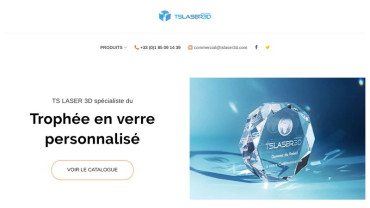 Page d'accueil du site : TSLaser 3D