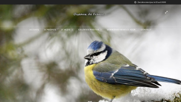 Page d'accueil du site : Oiseaux de France