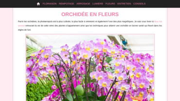 Page d'accueil du site : Orchidée en Fleurs
