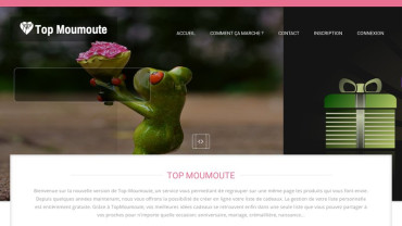 Page d'accueil du site : Top Moumoute