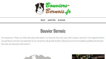 Page d'accueil du site : Bouviers bernois