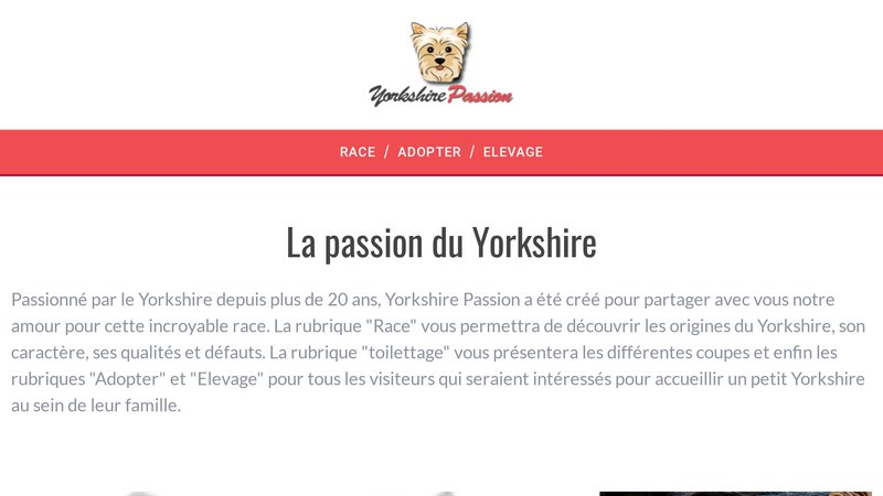 Yorkshire Passion