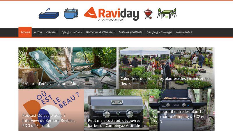 Blog Raviday