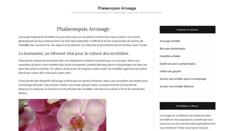 Phalaenopsis arrosage 